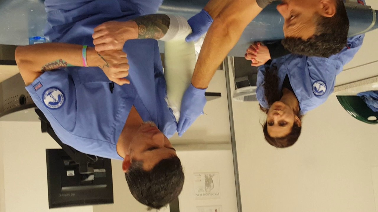 Sarmiento humeral cast