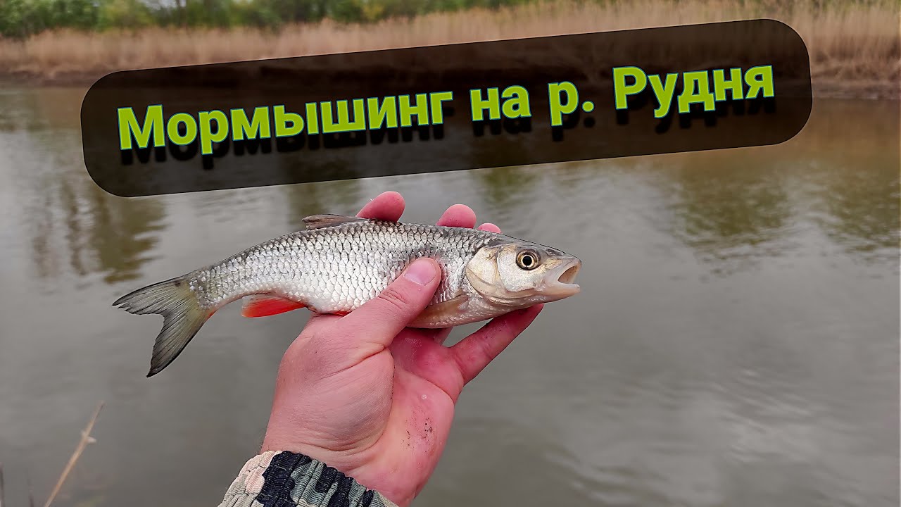 Мормышинг на реке Рудня в Нижегородской области с.Починки. Бюджетный спиннинг для мормышинга