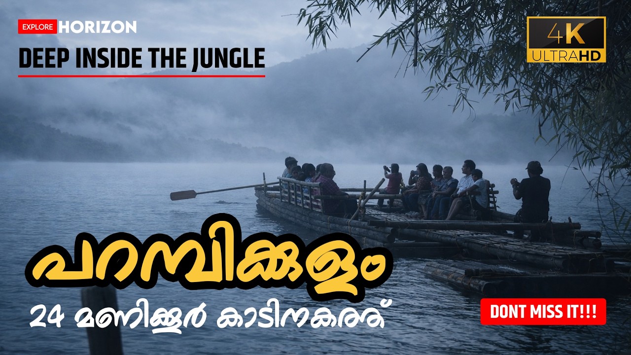 450 വർഷം പഴക്കമുള്ള കന്നിമര തേക്ക് | 24 Hours Inside Parambikulam Tiger Reserve