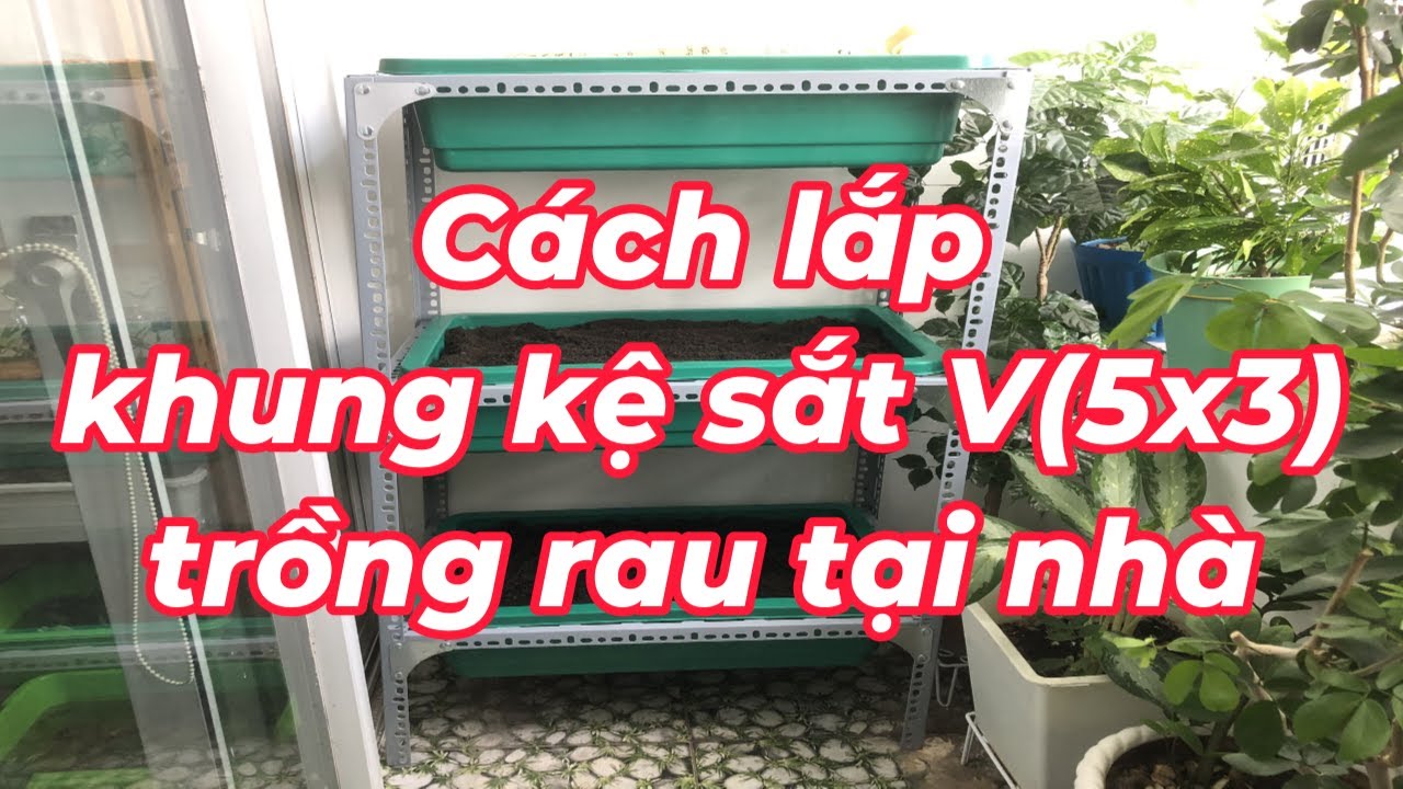 Cách lắp khung kệ sắt V trồng rau sạch tại nhà