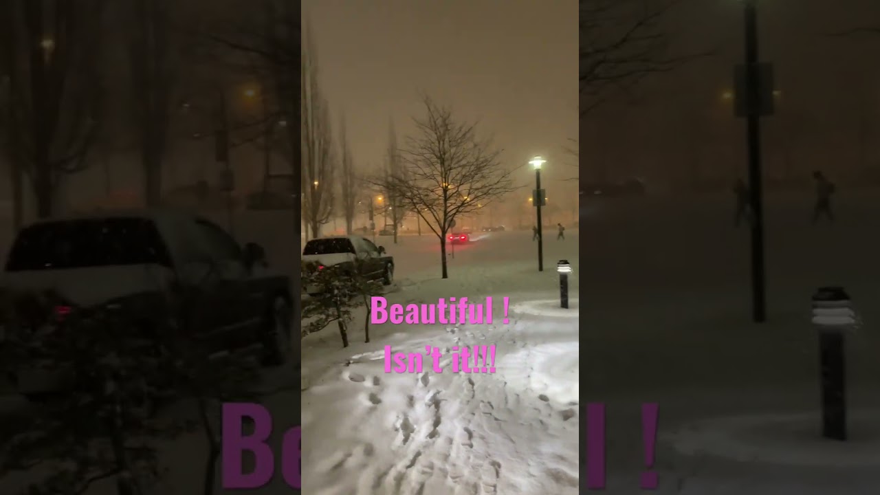 Surrey and surrounding areas have first snowfall for the winters of 2022 #weather #surrey #canada