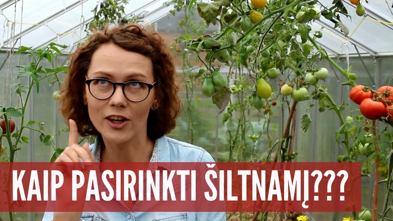 Šiltnamio įrengimas - 5 patarimai kai renkatės šiltnamį