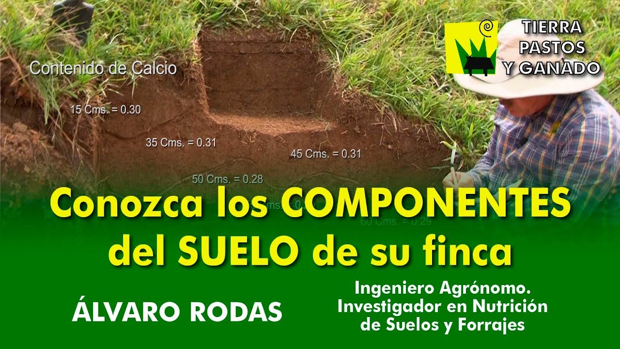 Conozca los componentes del suelo de su finca