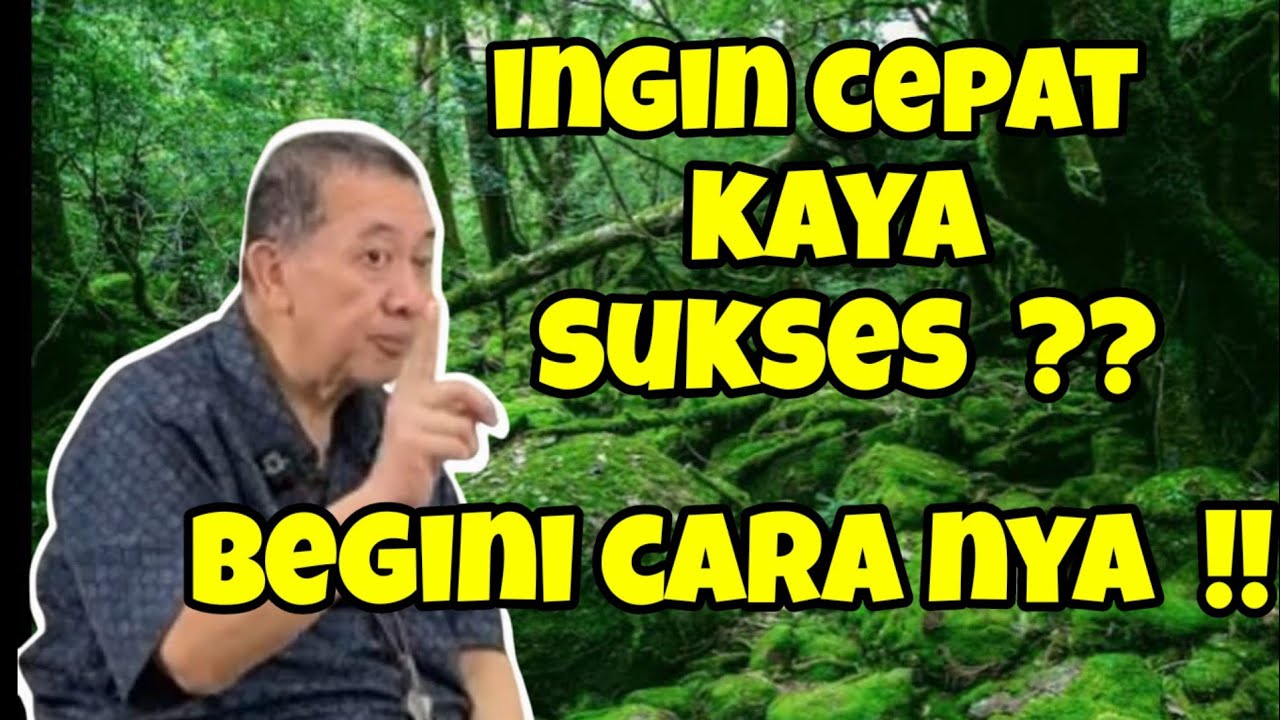 Sukses kaya raya