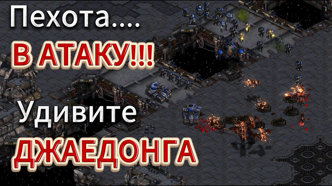 Терран решил удивить зерга JAEDONG. Начав с БУНКЕР РАША. Что на это ответить король дарк сворма?