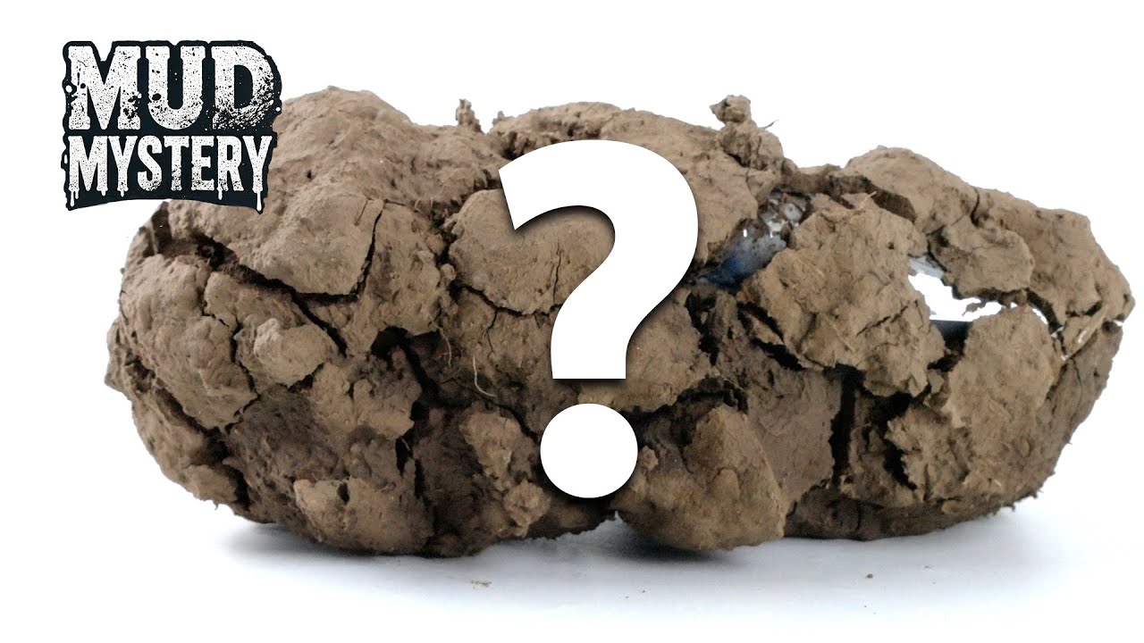 MUD MYSTERY!🔍- Guess What's Covered In The Mud!? #6