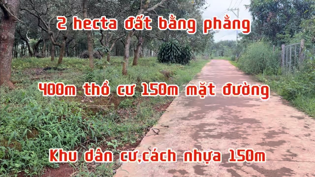 Bán đất vườn 2 hecta có 400m thổ cư 150m mặt đường khu dân cư.phú riềng bình Phước lh 0867048379