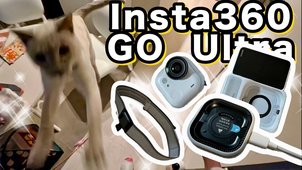 【Insta360 GO Ultra】猫と一緒にレビュー🐾 軽い・便利・かわいいが全部入ってる🐱📷💞フレキシマウントとヘッドバンド使ってみた！
