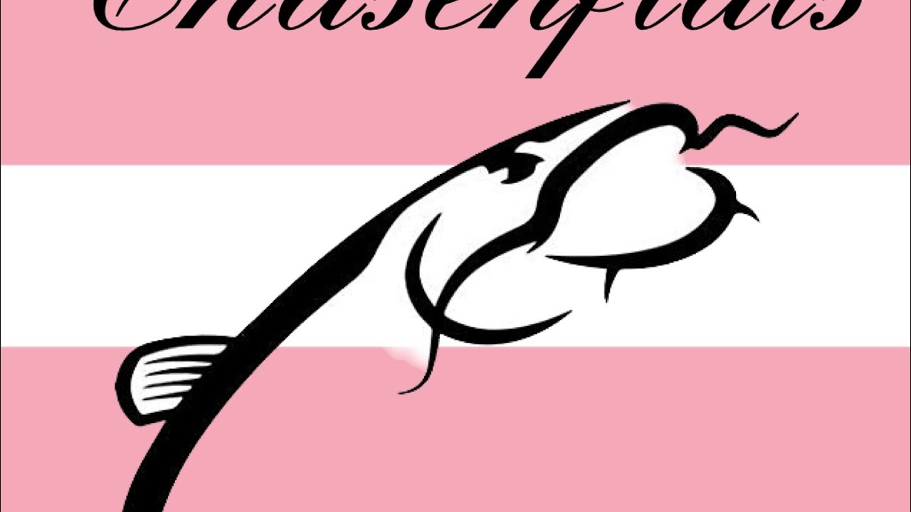 Gendercat gender mender self adhesive super soft flaccid packer review