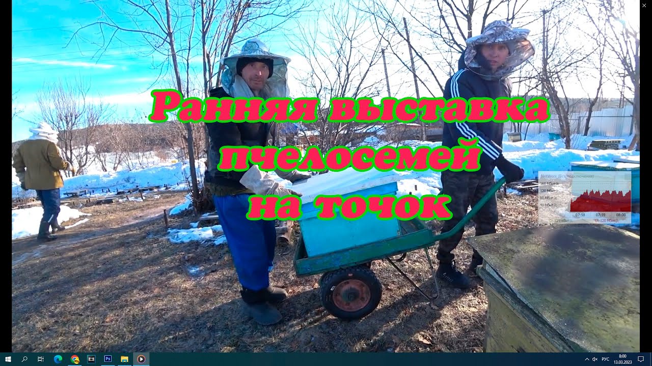 ВЫСТАВКА ПЧЕЛОСЕМЕЙ ИЗ ЗИМОВНИКА НА ТОЧОК, КАК ПЕРЕЗИМОВАЛИ И КАКОЙ ОТХОД ПЧЁЛ