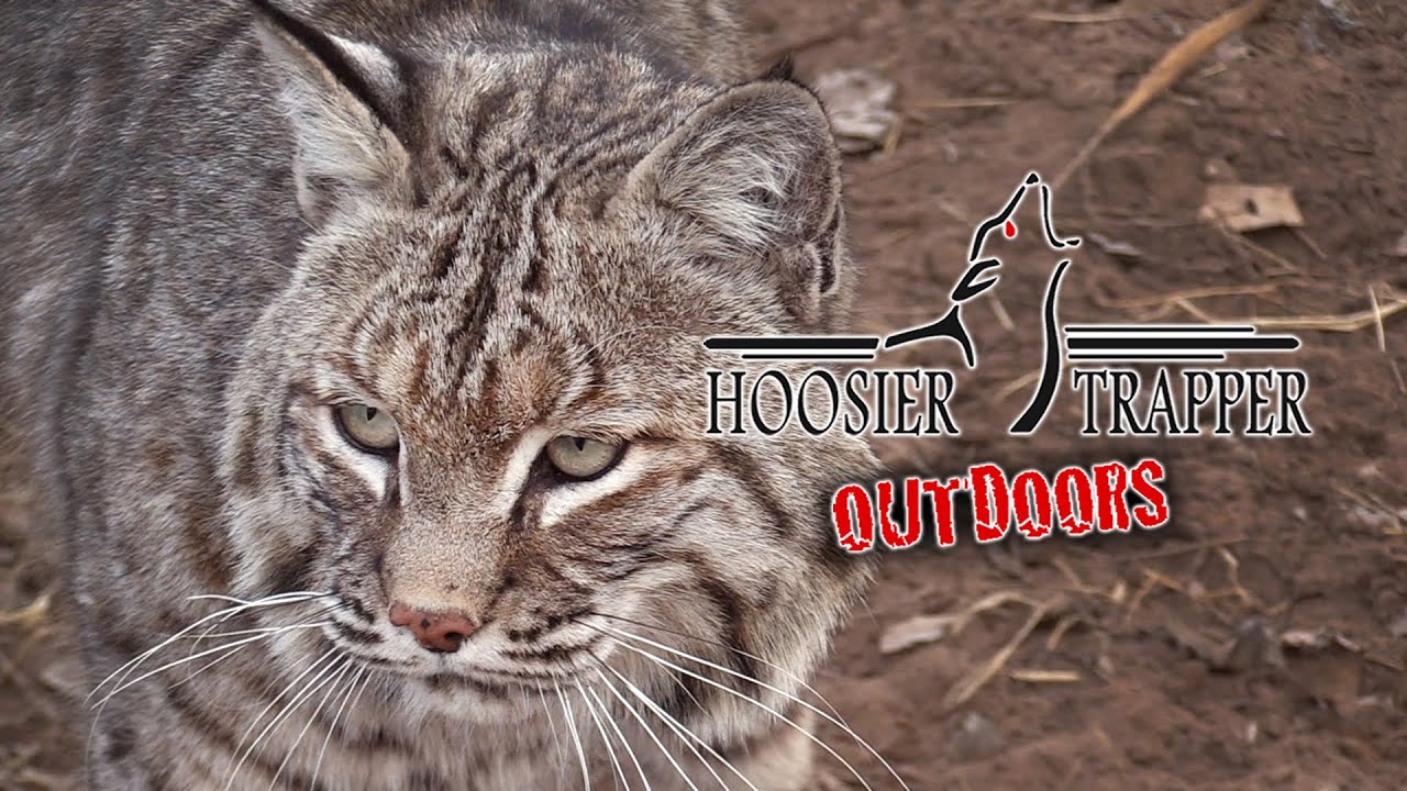 Trapping in Texas never gets old. - Ep.8 S.13