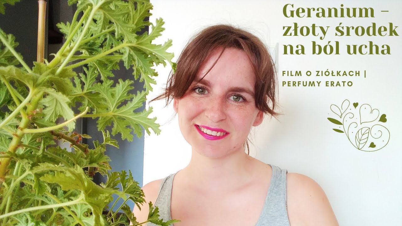 Geranium - złoty środek na ból ucha | Film o ziołach | Perfumy Erato