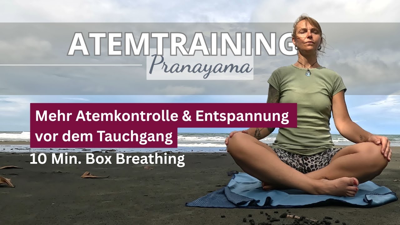10 Min. Atemtraining Tauchen | Box Breathing für Apnoetaucher:innen & Gerätetaucher:innen
