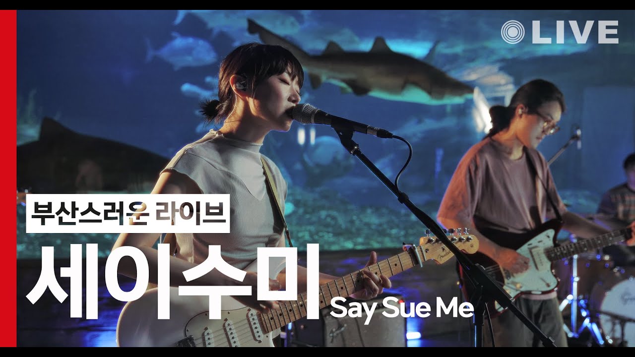 [Playlist🎧] 부산스러운 라이브 | 세이수미 (Say Sue Me) - The Last Thing Left @ 부산아쿠아리움 (4K) LIVE
