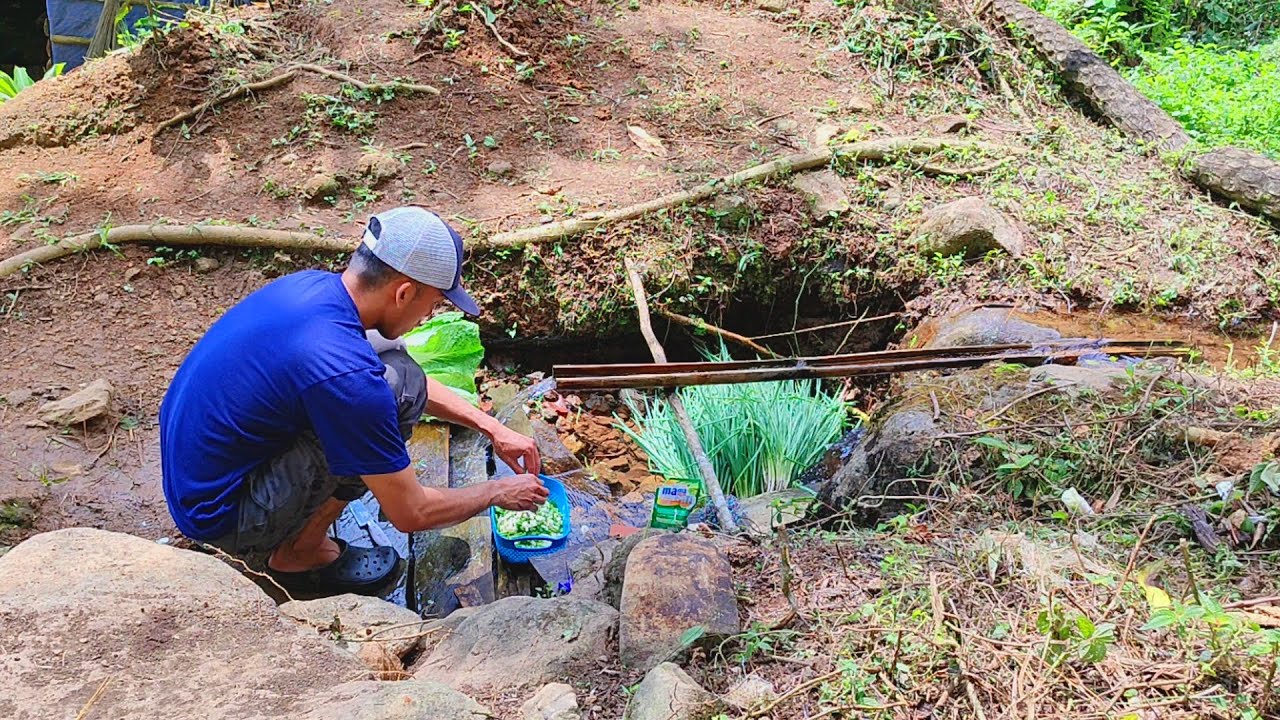 Aktivitas Di Hutan Mengurus Tanaman Kopi - Menggoreng Singkong Di Temani Hujan Gerimis malam Hari