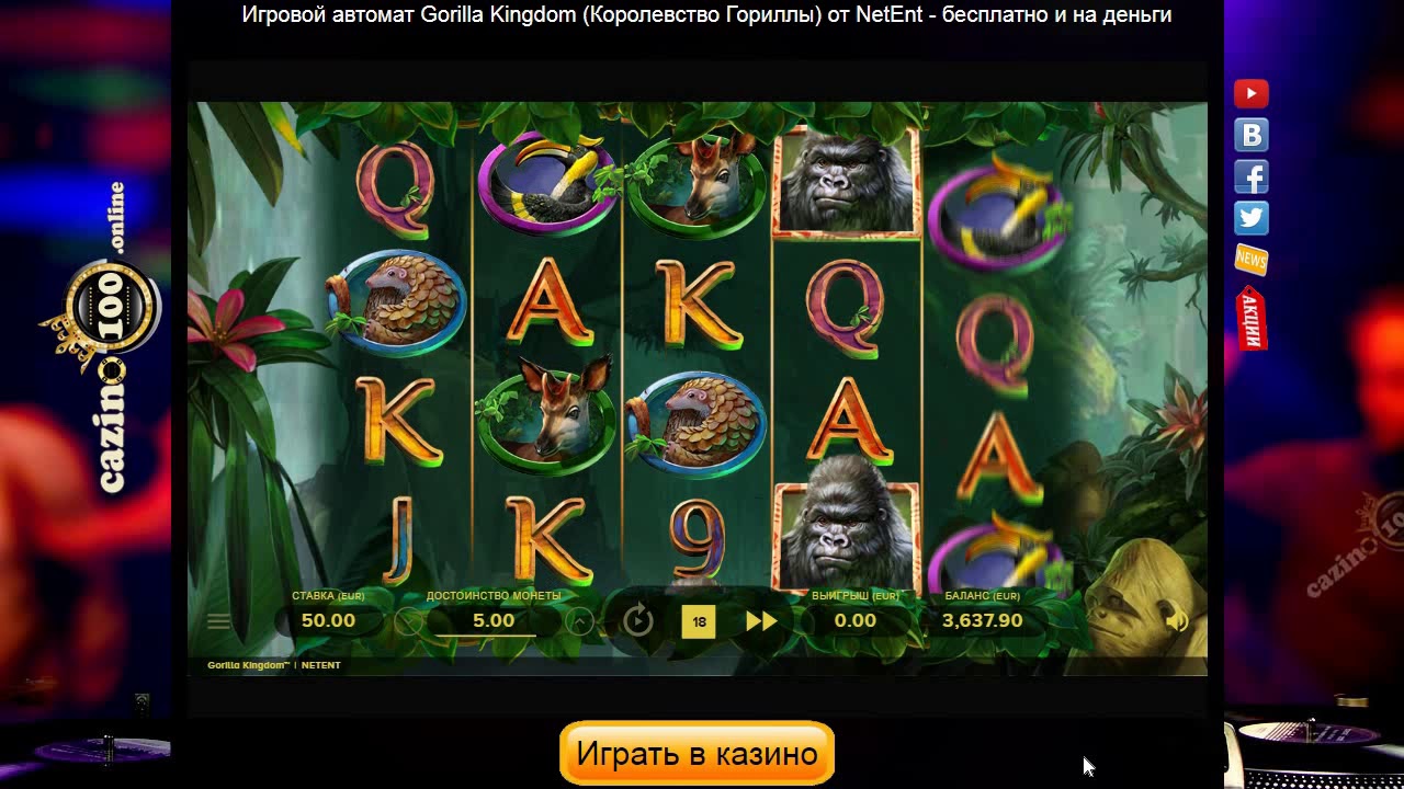 Super Mega Win в слоте Gorilla Kingdom
