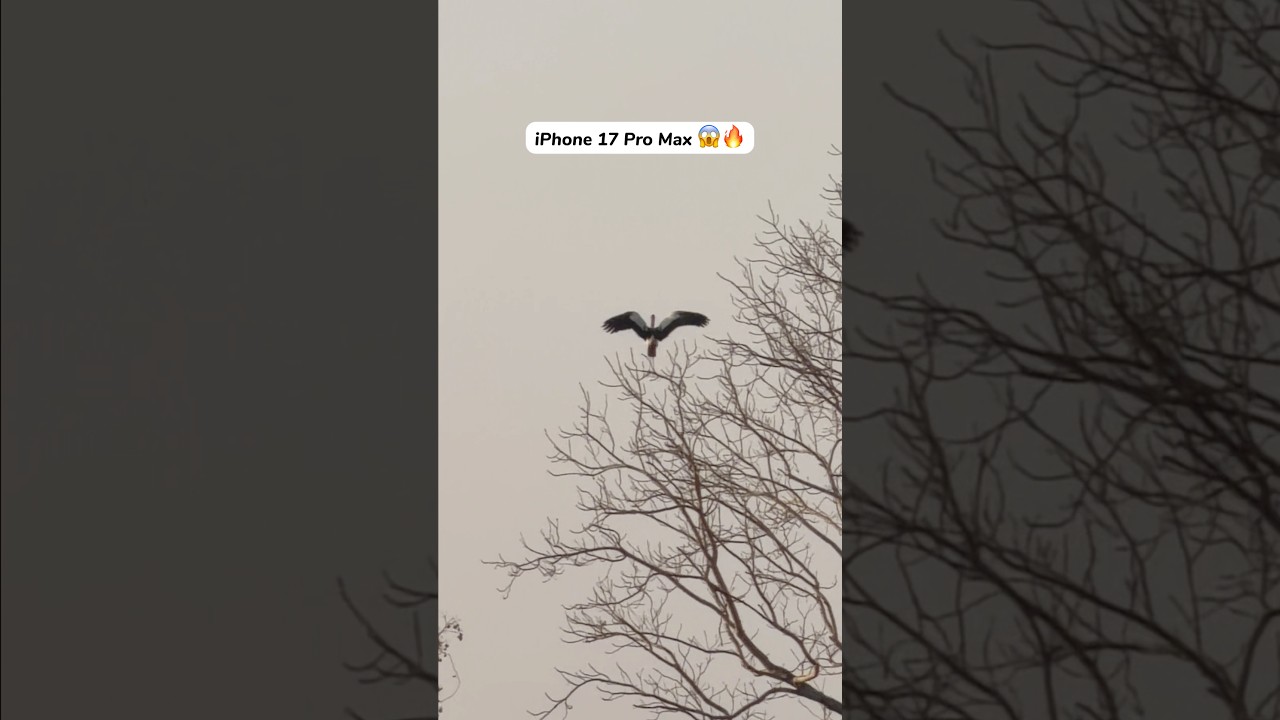 The Ultimate Zoom iPhone 17 Pro Max! 🔥😱 #zoom #ultrazoom #iphone17promax #iphone