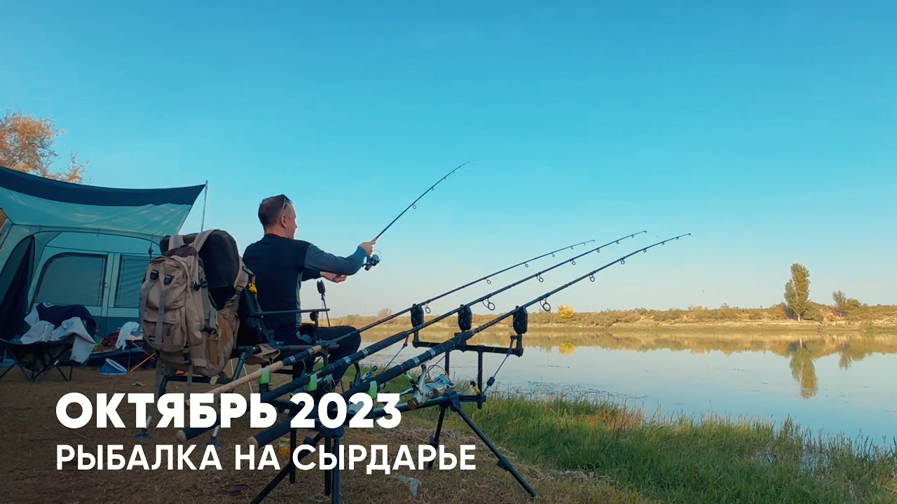 ОСЕННЯЯ РЫБАЛКА НА СЫРДАРЬЕ: Великолепие окружающей природы, особая атмосфера осени.