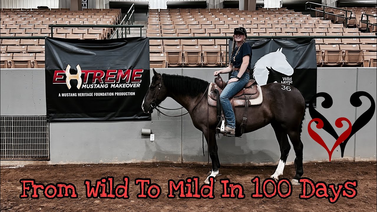 Toya’s 100 Day Journey To The Extreme Mustang Makeover | 2023 Tennessee EMM