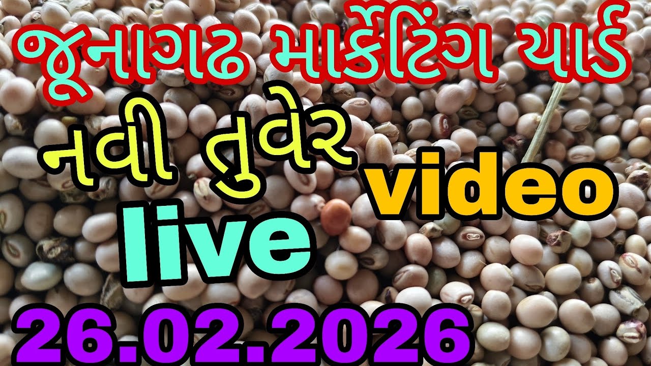 જુનાગઢ માર્કેટિંગ યાર્ડ લાઈવ ભાવ નવી તુવેર ના બજાર ભાવ  / junagadh marketing yard #pubg 