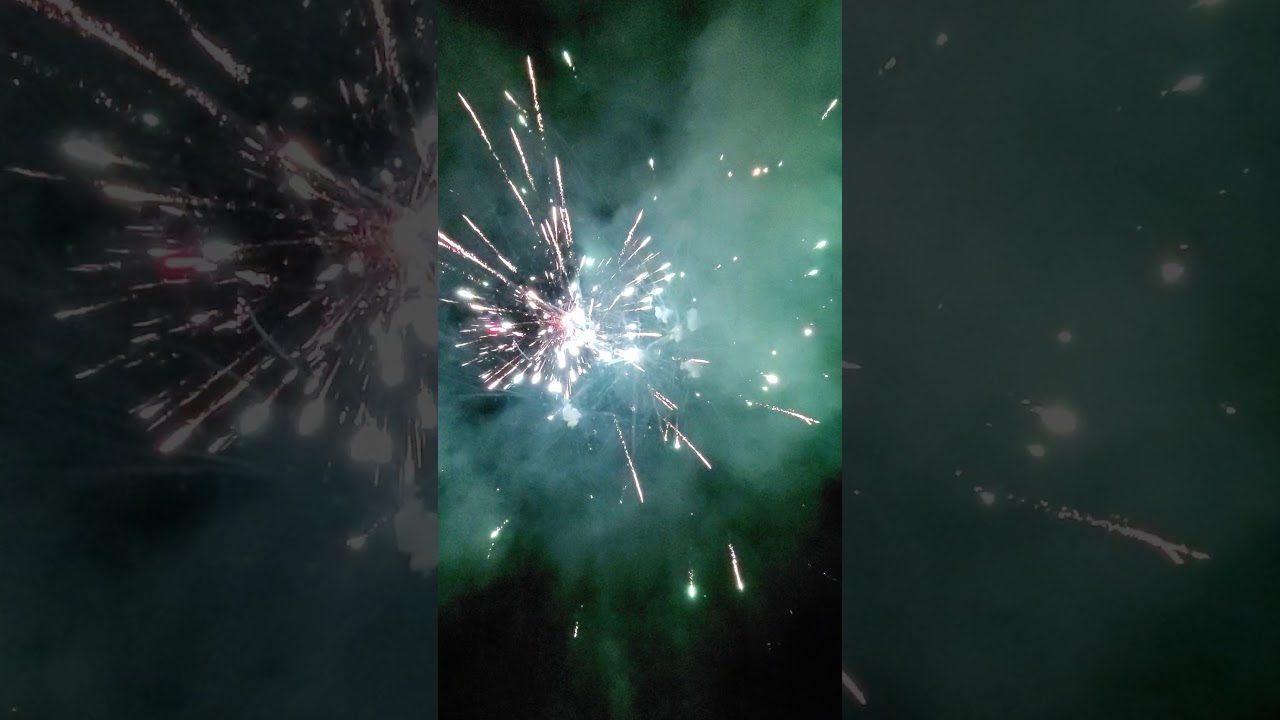 2019 4