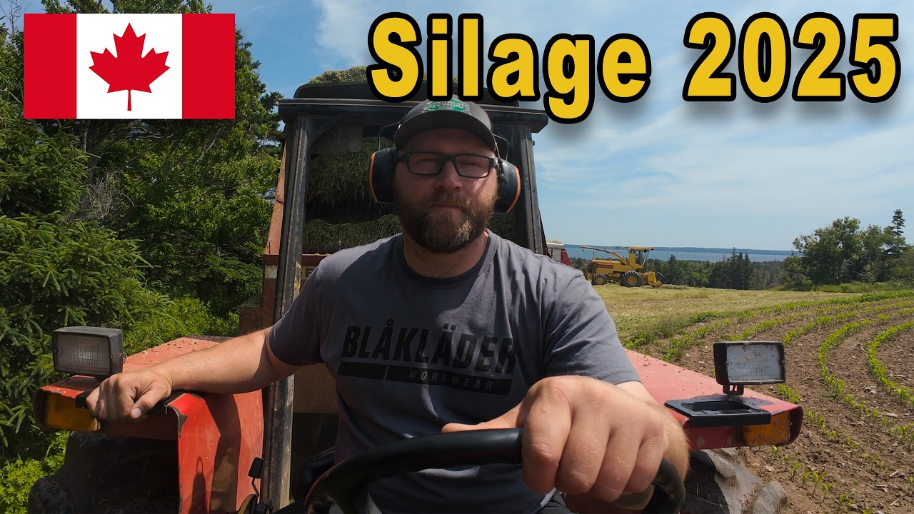 Getting the Silos Filled - First Cut 2025 Compilation