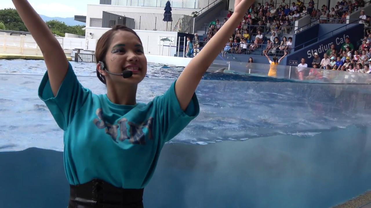 ★京都水族館 ～第1章「友情」～　ＮＥＷイルカショー　4Ｋ動画
