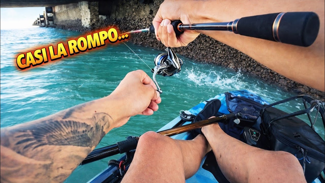 🔴Jornada de pesca entretenida en la Bahía de Cádiz🔴🎣🐟