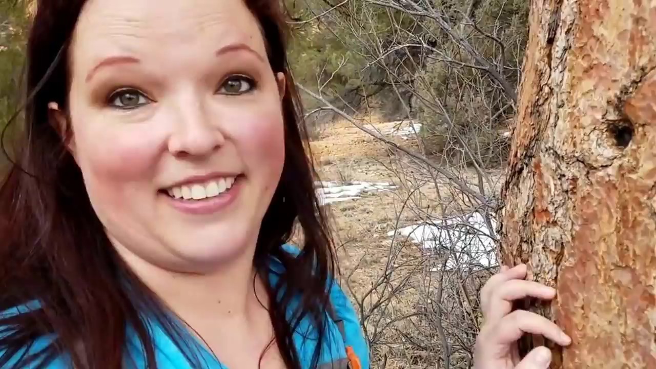 Hiking in Dixie National Forest Utah - What To See In Dixie National Forest