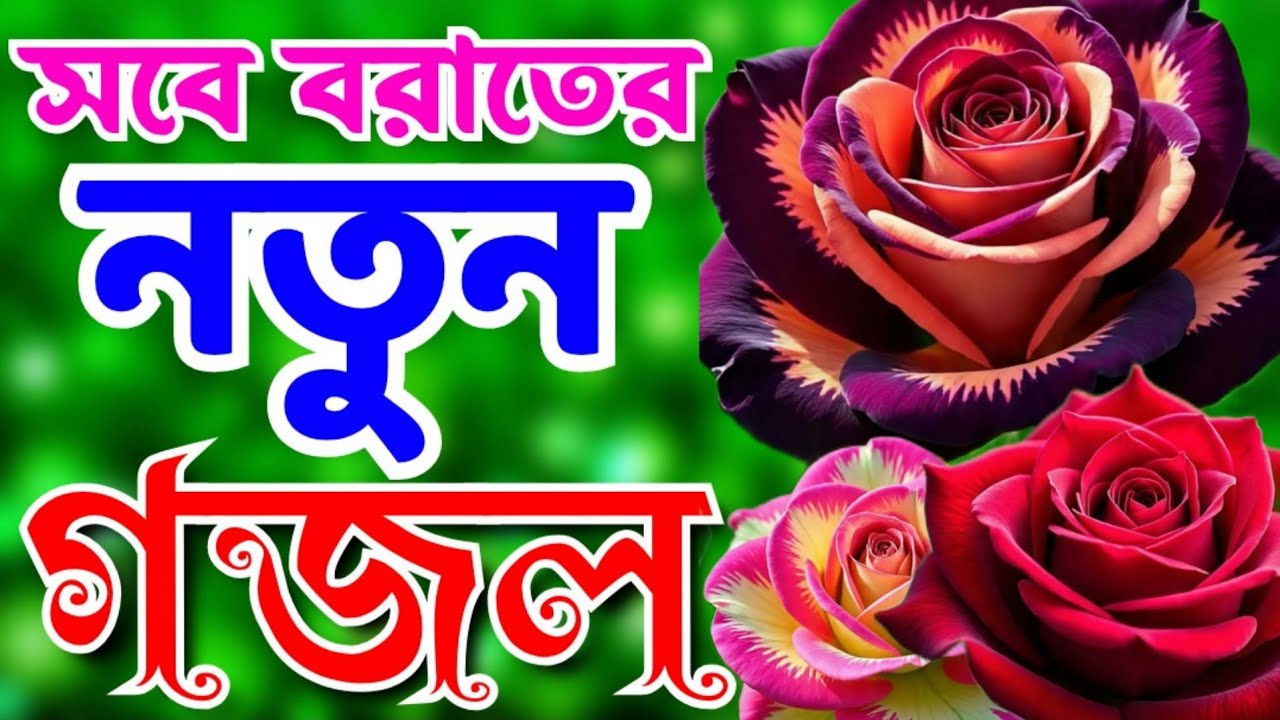 শবে বরাতের নতুন গজল ২০২৬। Sobe Borater Gojol 2026।Shob e Borat।সবে বরাত আশিলো 