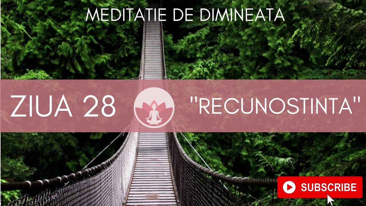 ZIUA 28 - 