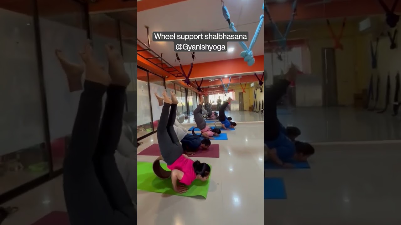 Wheel Support shalbhasana || Back stretching ||  back strength 