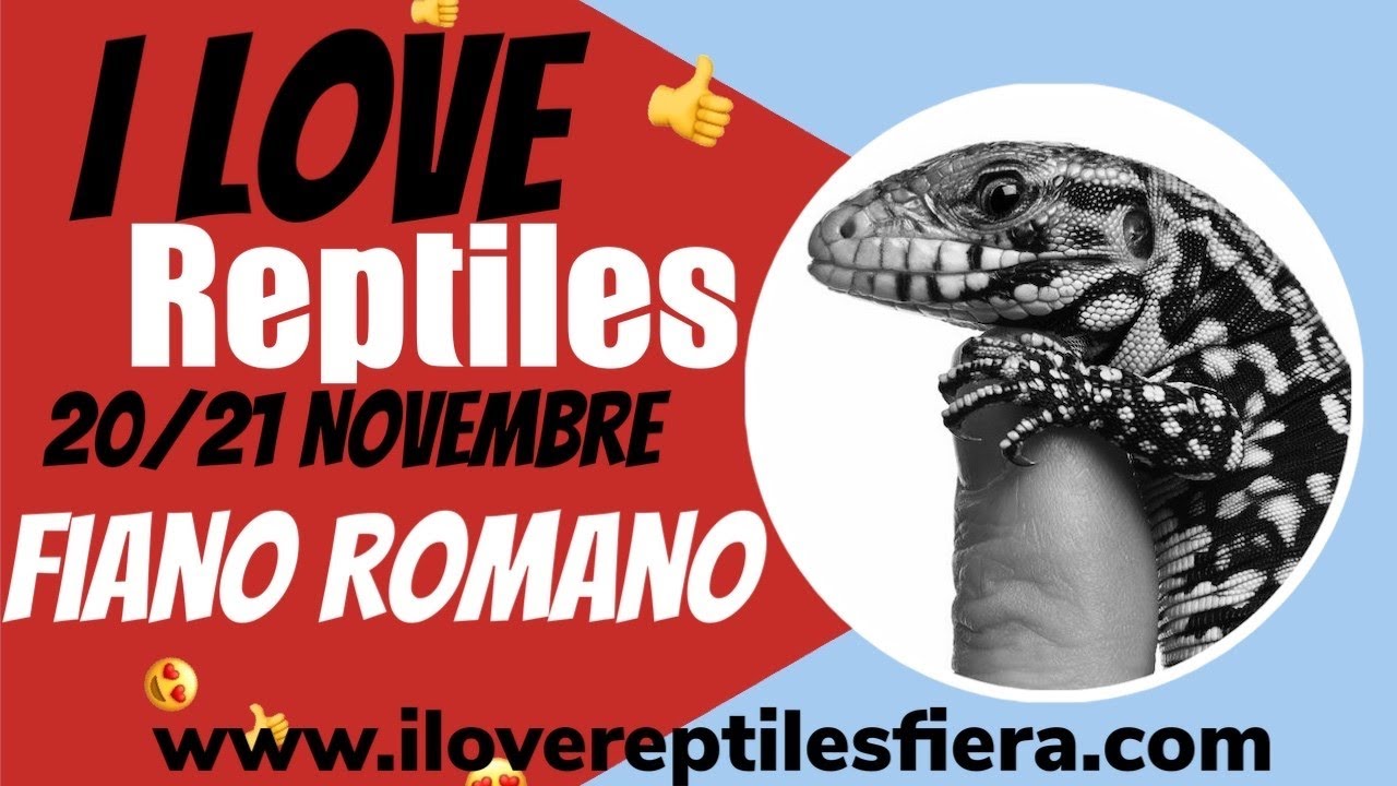 I LOVE REPTILES: fiera rettili di roma