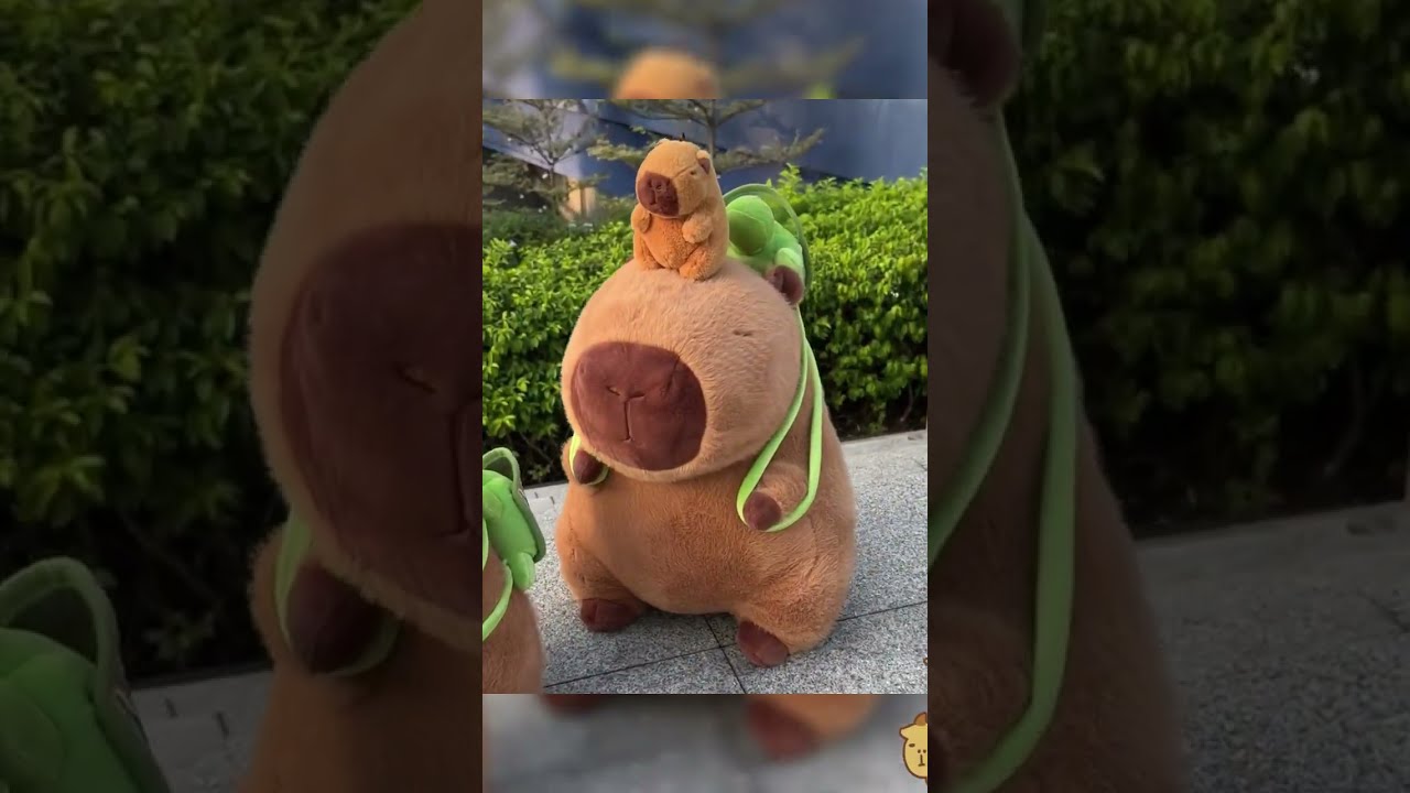 Capybara Stuffed Animals for Every Capybara Enthusiast or Plushie Fan  #linkinbio
