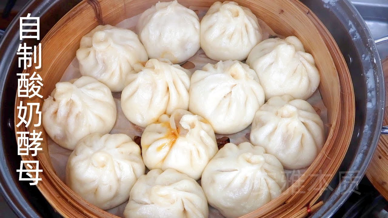 用酸奶和水养酵母 八天全纪录 不加商业酵母 做小笼包 馒头