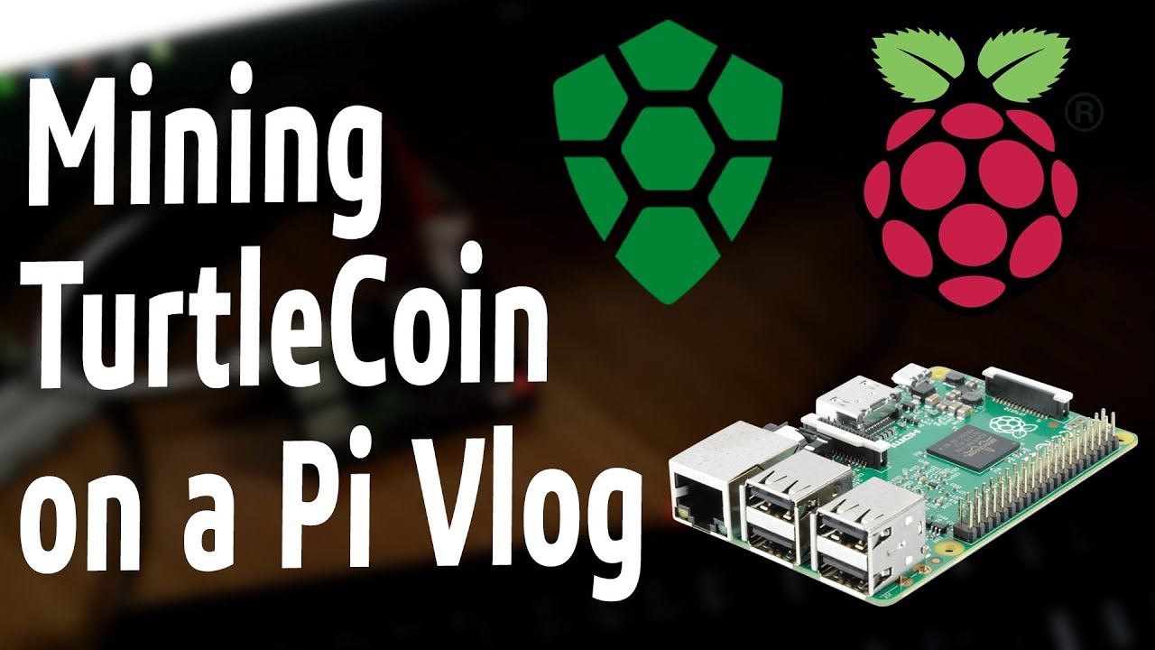 Mining TurtleCoin on a Raspberry Pi
