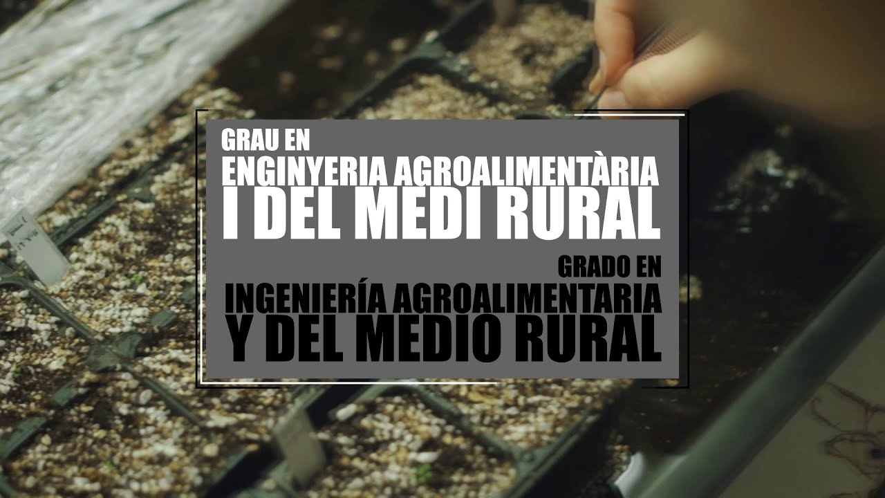 Grado en Ingeniería Agroalimentaria y del Medio Rural - Universitat Politècnica de València (UPV)