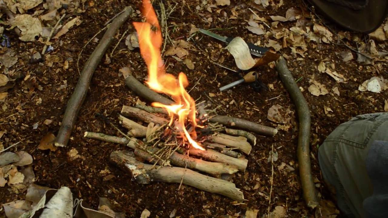 Fire using Birch bark