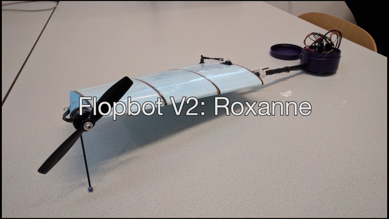 Flopbot 2.0 Roxanne