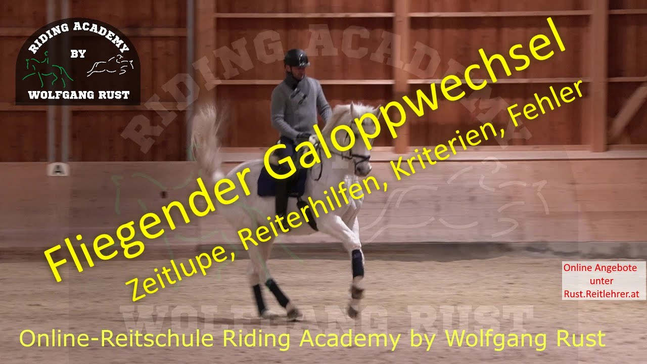 F62 Der Fliegender Galoppwechsel! Hilfengebung, Reiterhilfen, Beinfolge, &Uuml;bungen fliegenden Wechsel