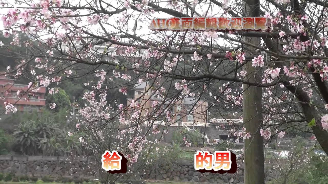 尤美 給天下無情的男性