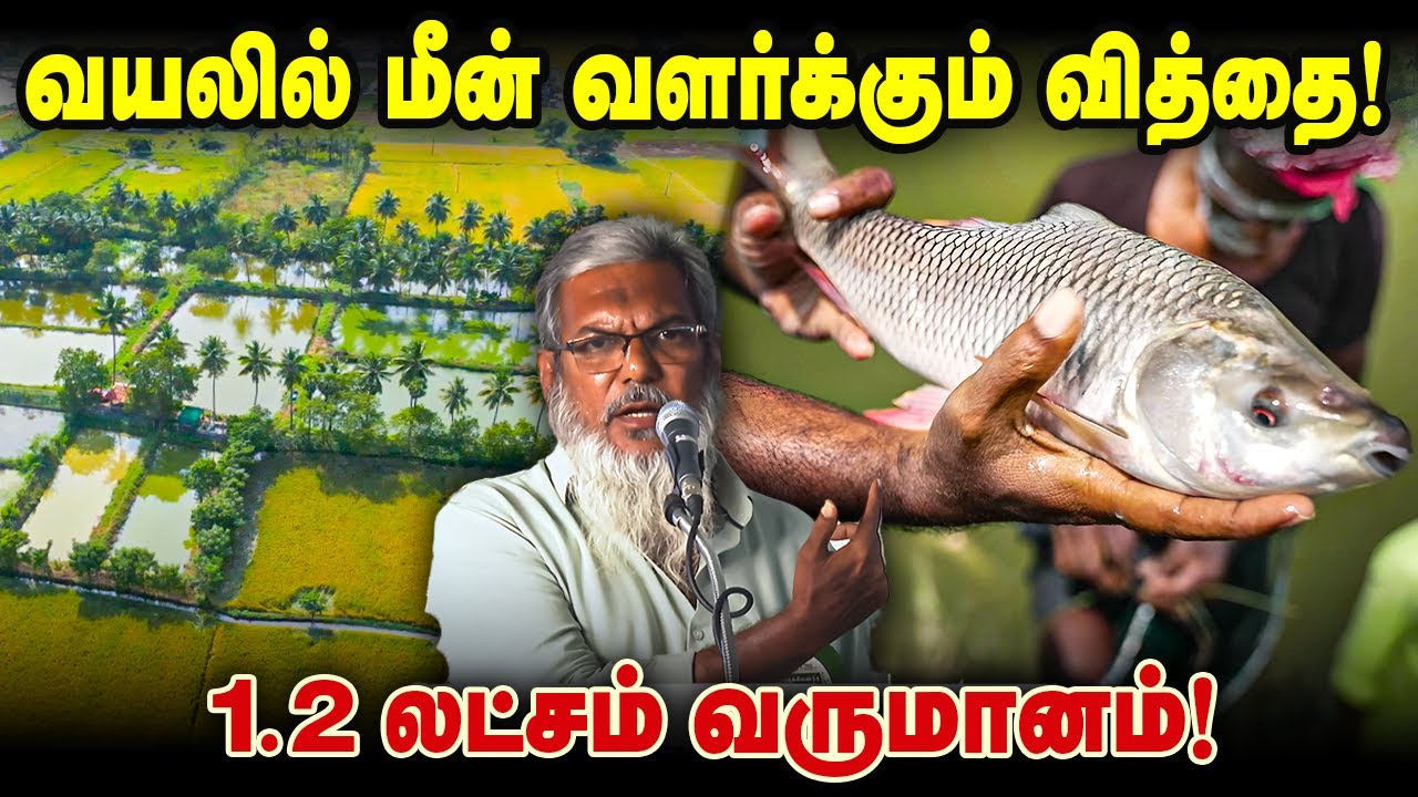 வயலில் மீன் வளர்க்கும் வித்தை!  1.2 லட்சம் வருமானம்! #fishfarming #integratedfarming