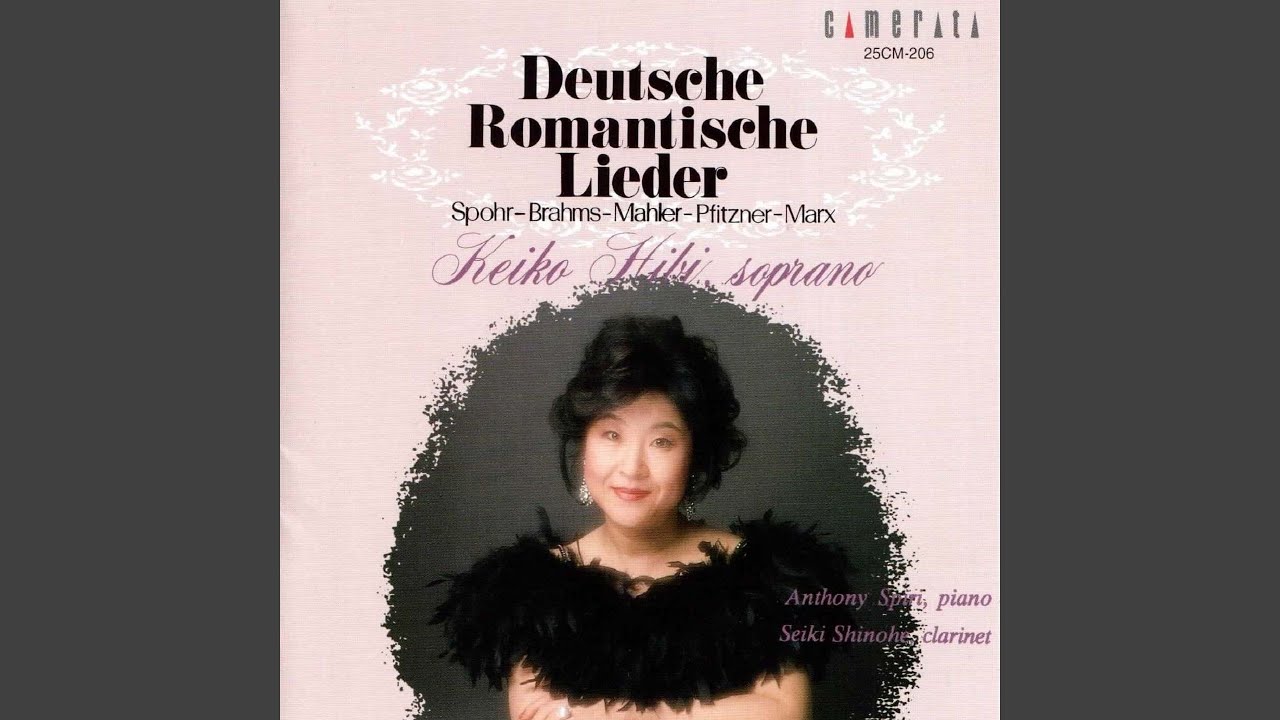Lieder und Gesänge aus der Jugenzeit: No. 2 in G Minor, Erinnerung