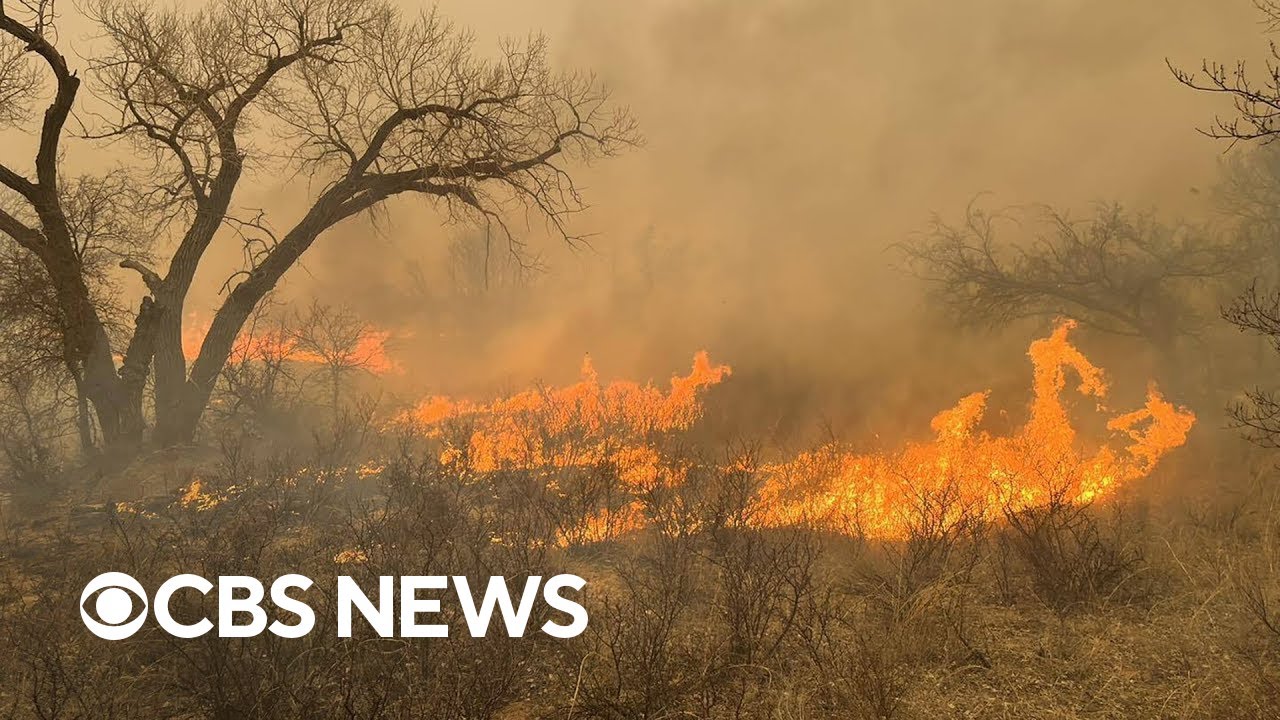 Texas’ Smokehouse Creek Fire now second-largest wildfire in U.S. history