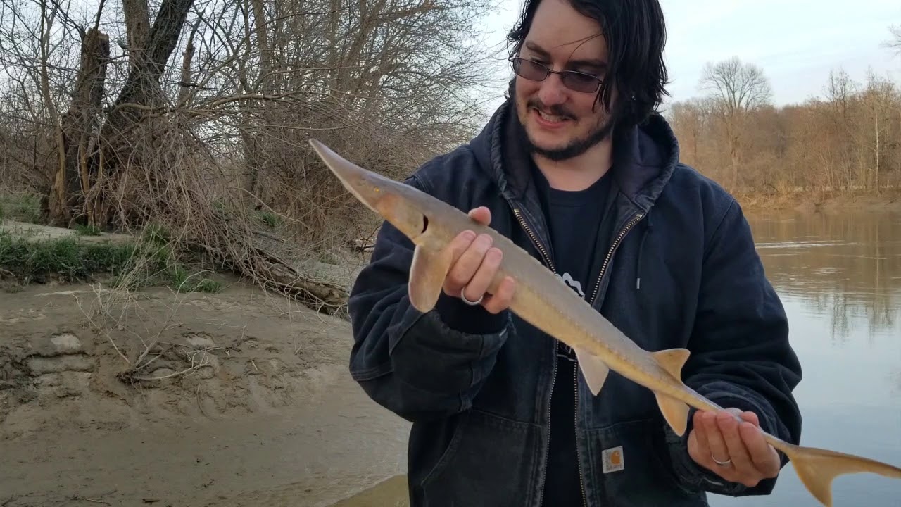 Amazing sturgeon fishing!
