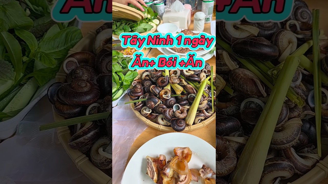 T&acirc;y Ninh thẳng tiến. Ăn g&igrave;, Chơi g&igrave; 1 ng&agrave;y #travel #vlog #reviewanngon #tayninh #dulich #anngon
