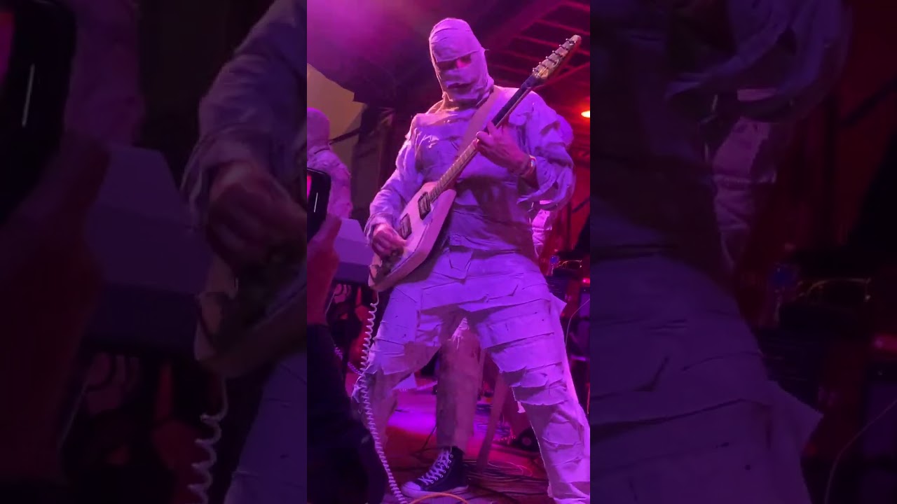 THE MUMMIES “Stronger Than Dirt” Gonerfest 20
