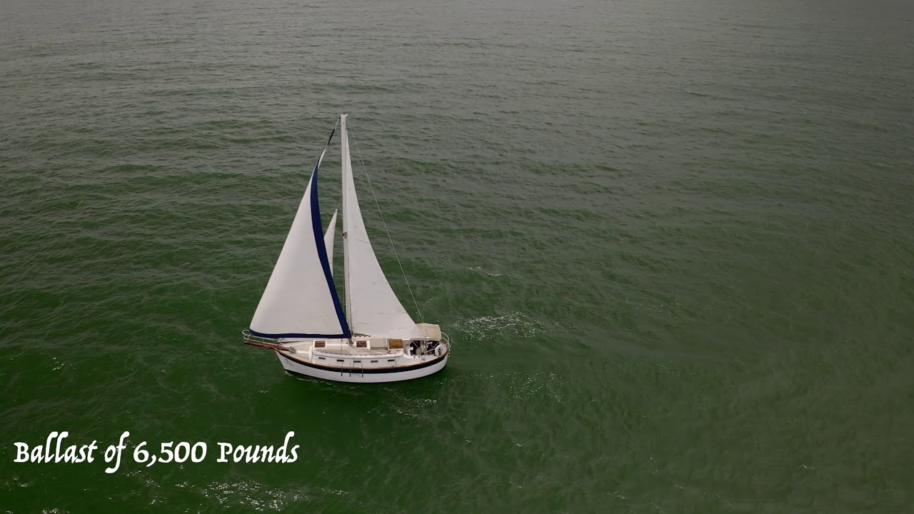 Willard 30 - Sea Turtle