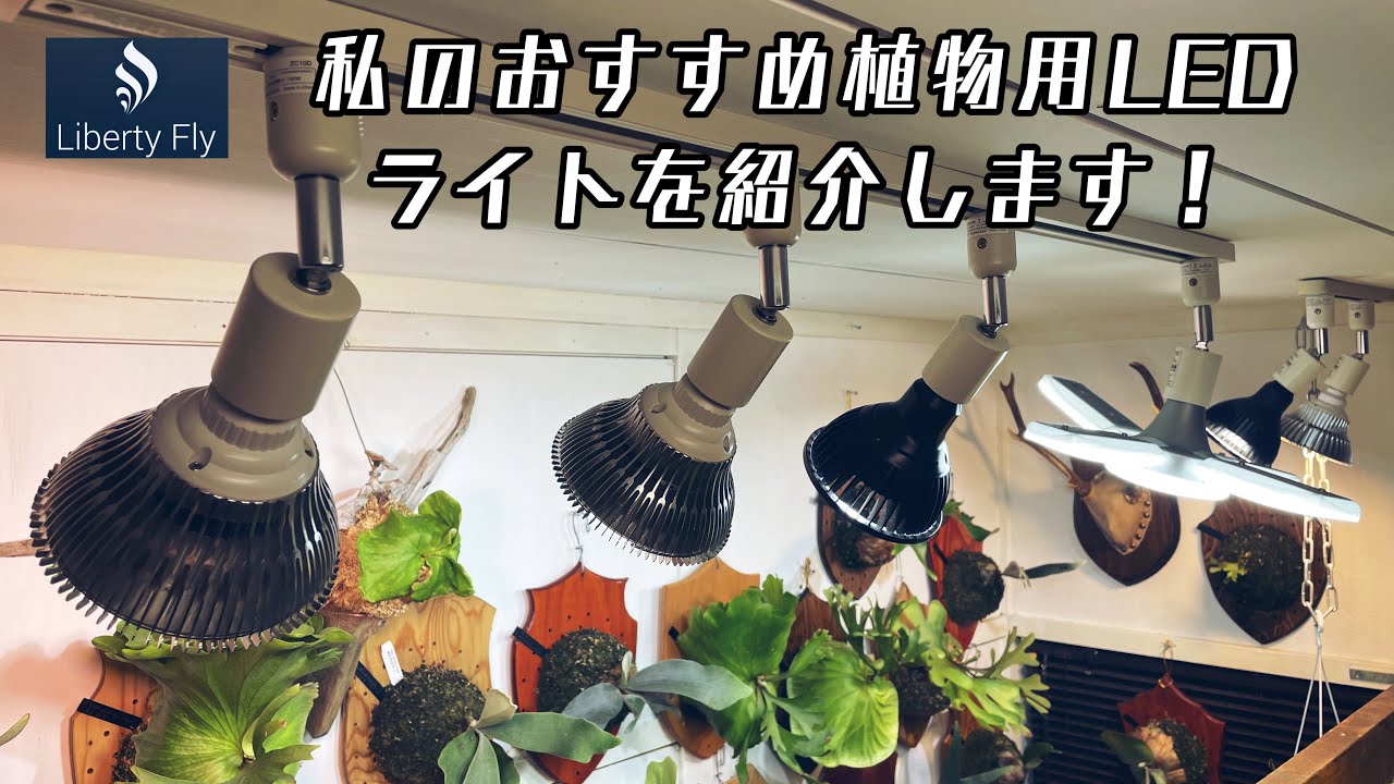 植物用LEDライト何使ってる？