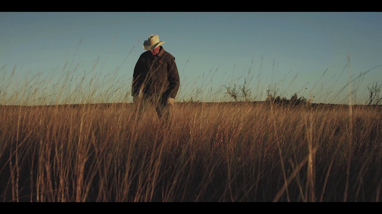 Range Management for Beef Cattle: Pathway to Profit - Plant Identification